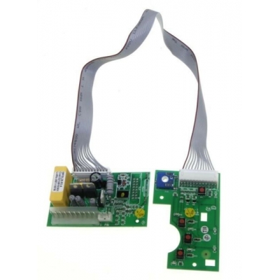 SCHEDA ELETTRONICA SICUR100